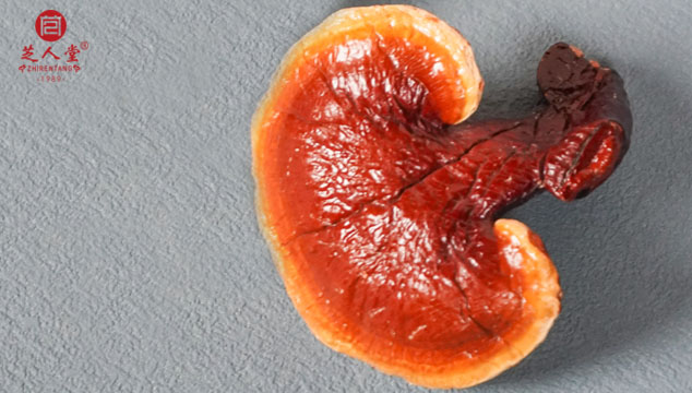 靈芝孢子粉功效,靈芝孢子粉的功效與作用,靈芝孢子油功效,靈芝孢子油的功效與作用